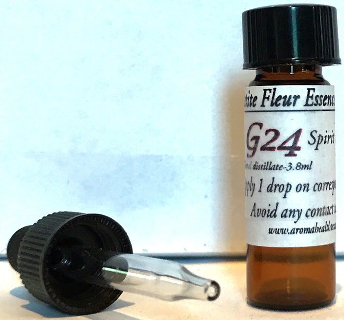 G24