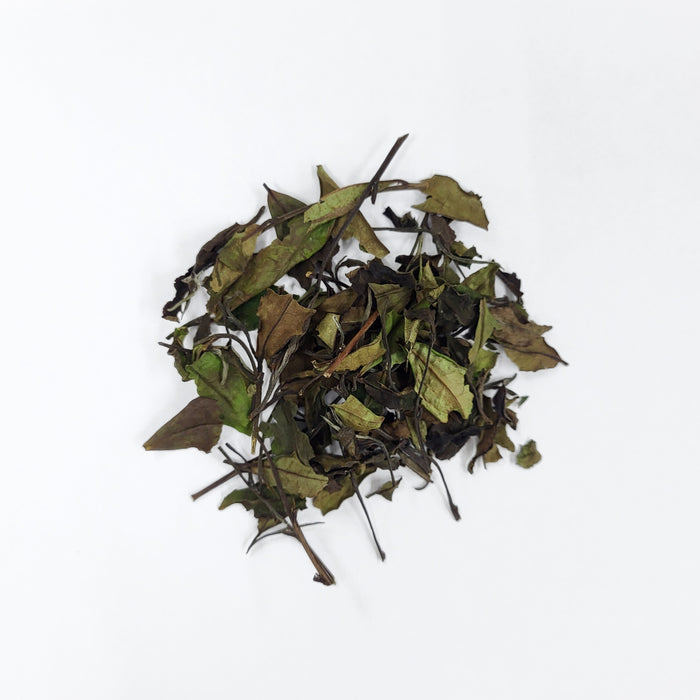#0107.K6 Azuma Tea: Naturally Grown Spring Samidori White Tea from Kyoto (Experimental) さみどり白茶