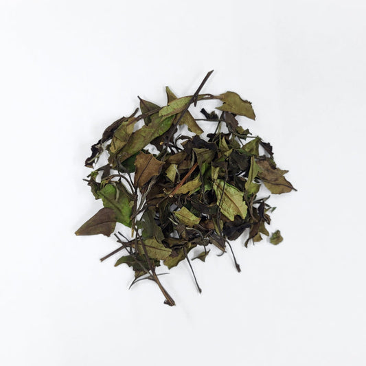#0107.K6 Azuma Tea: Naturally Grown Spring Samidori White Tea from Kyoto (Experimental) さみどり白茶