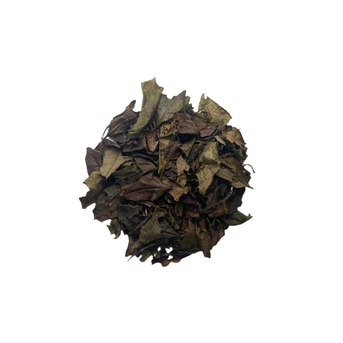 #0923.K6 Azuma Tea: Naturally Grown Spring Okumidori White Tea from Kyoto (Experimental) おくみどり白茶