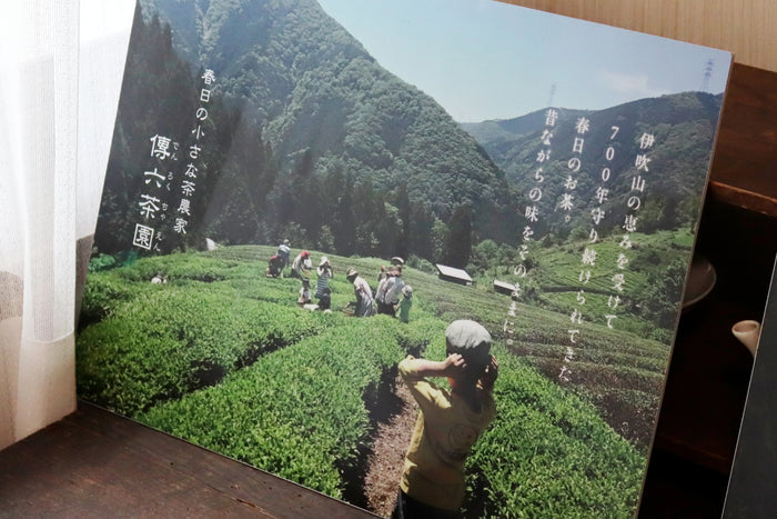 #1067.G1 Denroku Tea Garden: Ancient Mist - Premium Sencha (First Flush)｜霧の古来茶 - 特上煎茶