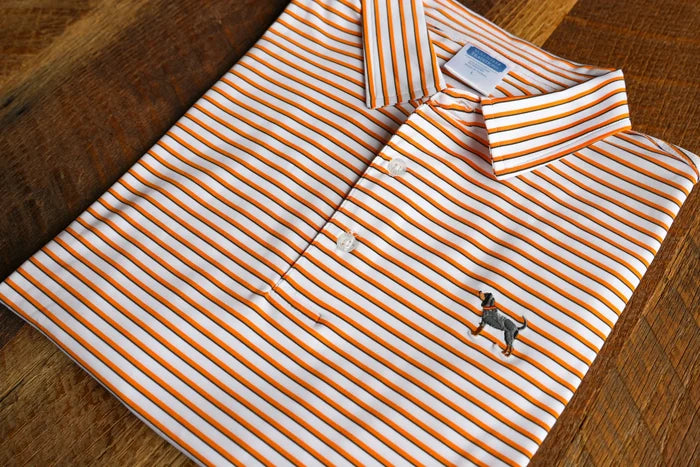 Bluetick Premier Stripe Polo