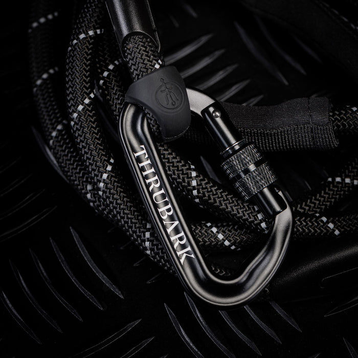 Creative Image Of Carabiner Dog Lead In Carabiner Dog Lead (ITF)