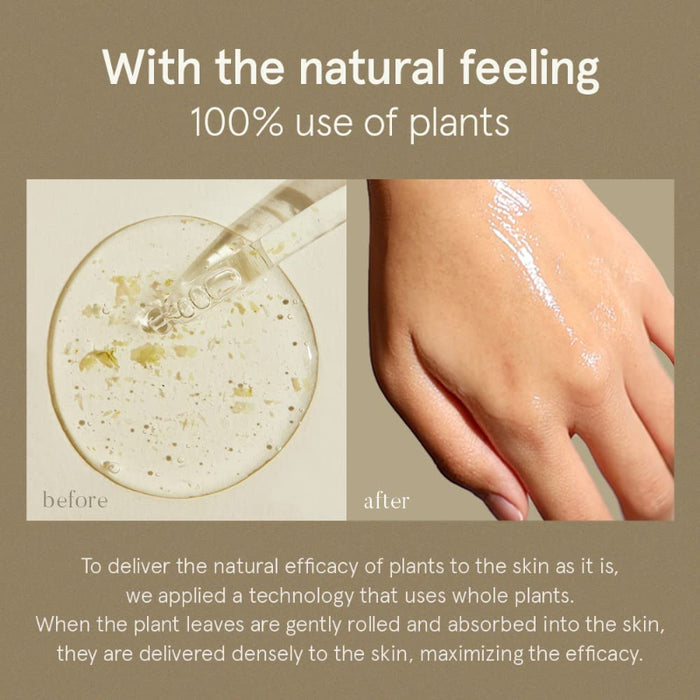 Centella Asiatica Serum - Korean-Skincare