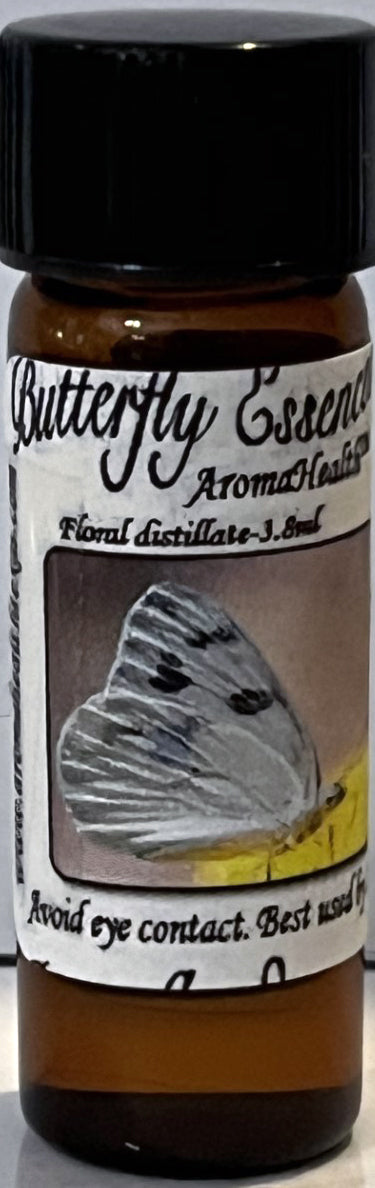 Checkered White (Pontia protodice)