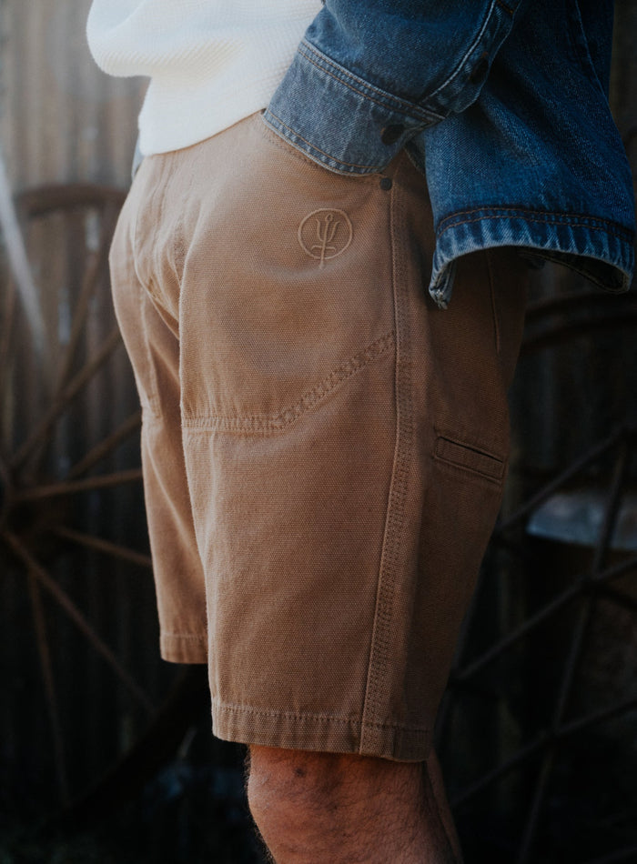 Creative Image Of Dissident Canvas Shorts In Coyote Brown (ITF)