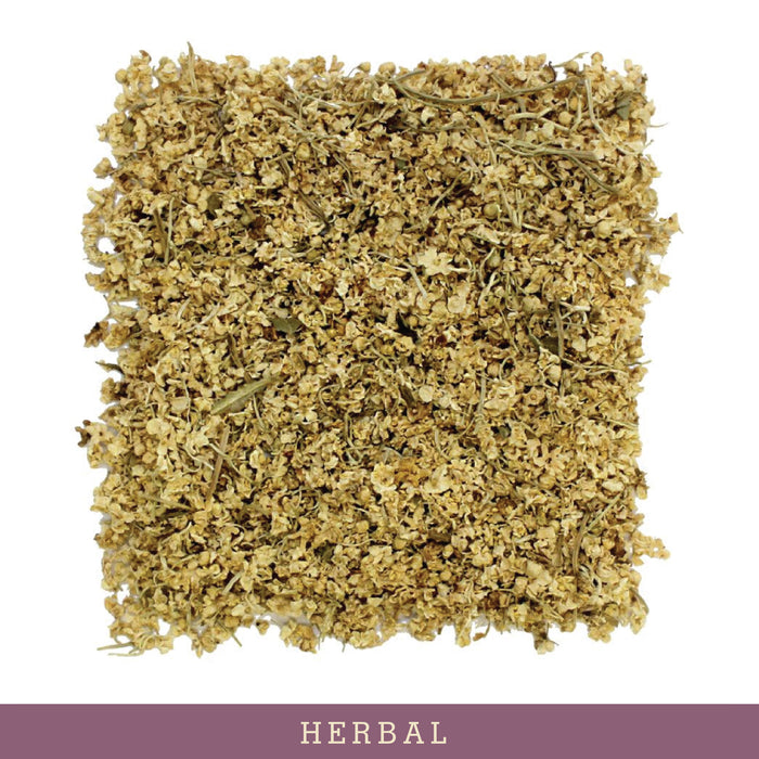 Elderflower - 1 lb (Wholesale)