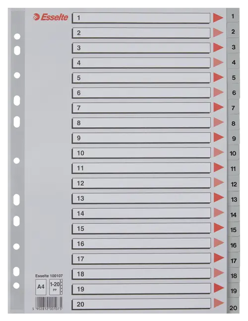 Esselte Divider A4 PP 1-20 Grey - Office R Us Lagos
