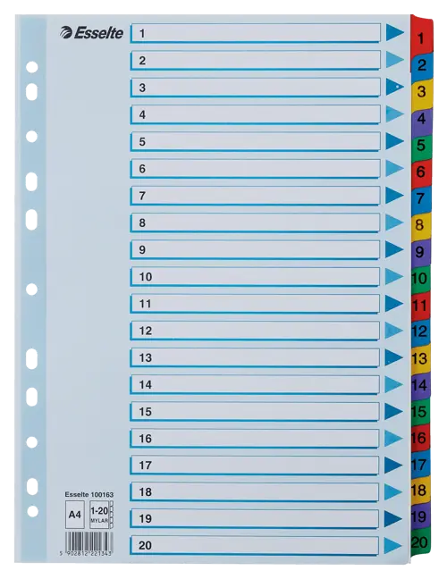 Esselte Mylar Multicolour A4 Index 1-20 Tab - Office R Us Lagos