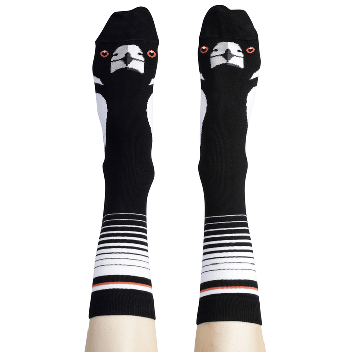 Fresh Magpie Bundle