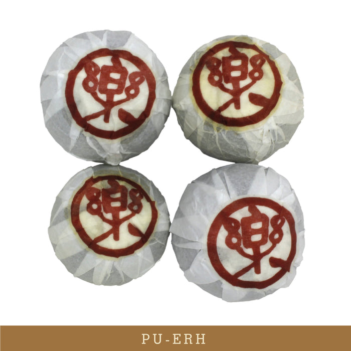 Green Tangerine Pu-erh - 4-count (Wholesale)
