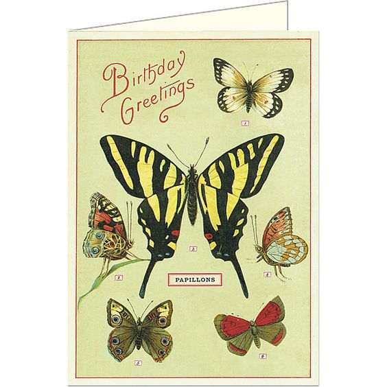 Happy Birthday Butterflies Card