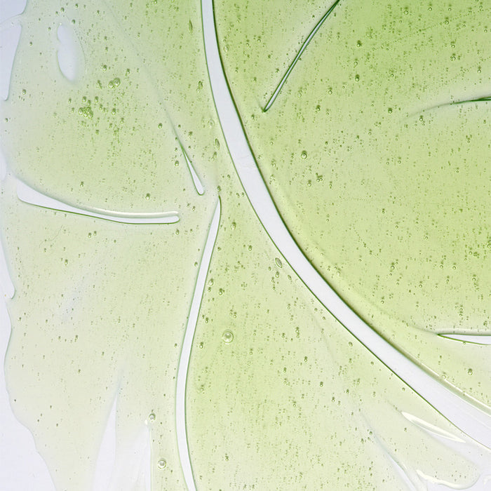 Herbalism Shampoo
