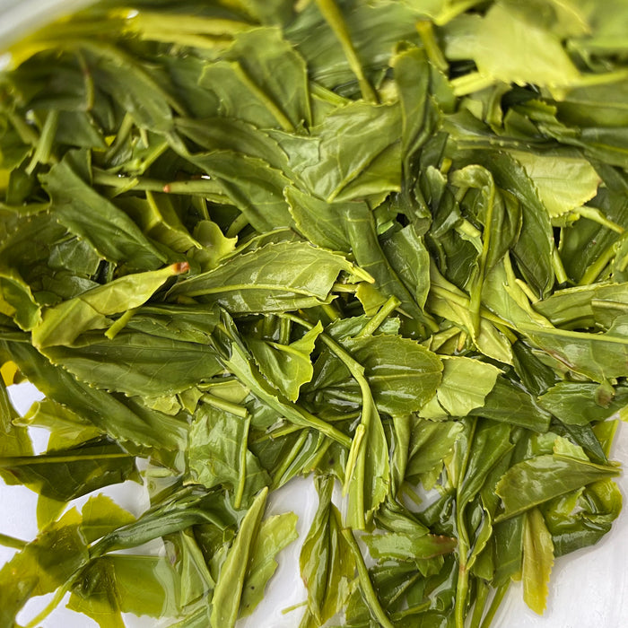 #0391.S5 Kanes Tea: April 2024 Kanaya Shuho 金谷秀峰, Limited Handrolled First Flush Asamushicha
