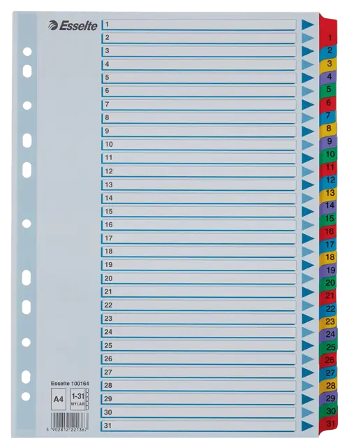 Index 1-31 Esselte Cardboard Mylar Reinforced Tabs A4 - Office R Us Lagos