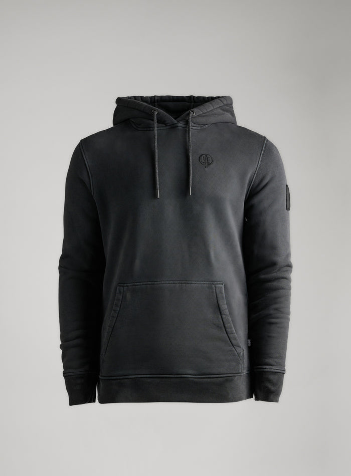 Cut Out Image of Insignia Hoody Washed In Grey (GM)