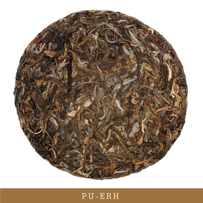 Jingmai Old Forest Bingcha - 200 g (Wholesale)