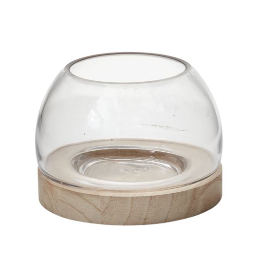 Jonah Terrarium
