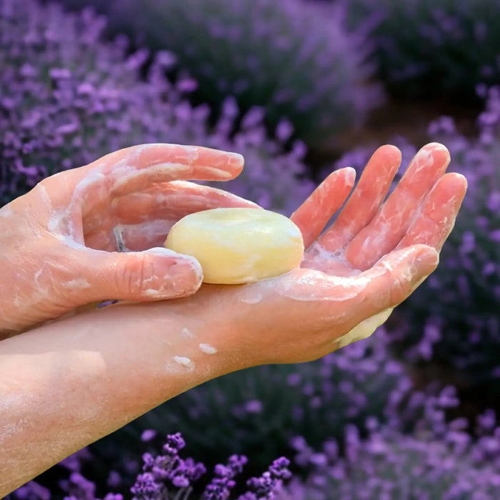 L'AUGUSTE PROVENCE - THE ESSENCE OF PROVENCE LAVENDER SOAP is a round, handmade French soap wrapped in painted landscape fabric, presented in a Provence gift box. Dried lavender rests nearby on a white cloth background.
