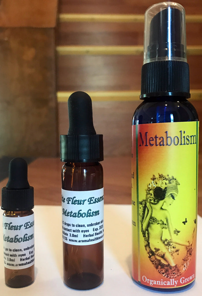 Metabolism (Sweet Orange scent)