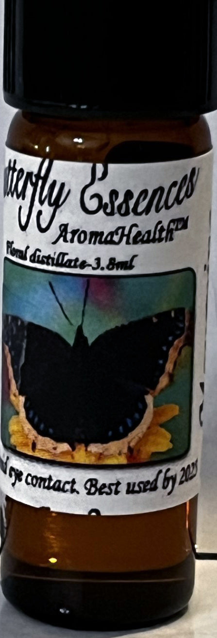 Mourning Cloak (Nymphalis antiopa)