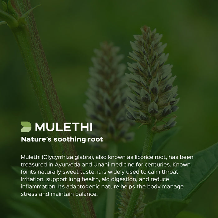 Mulethi Root Powder ( Licorice Powder )