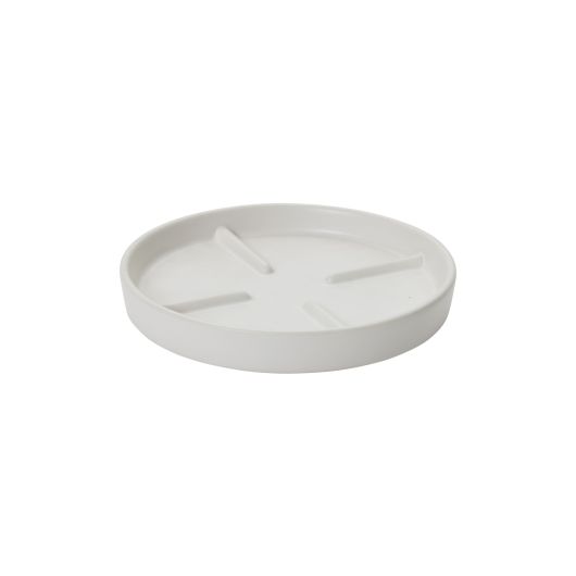 Oakley Saucers
