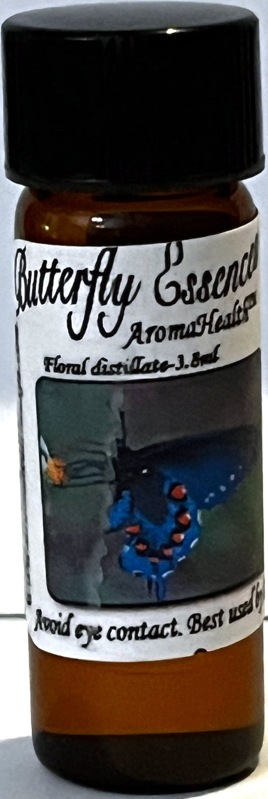 Pipevine Swallowtail (Battus philenor)