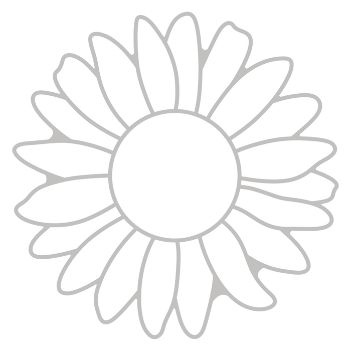 7 White Daisy