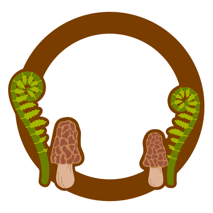 9 Morel Mushroom