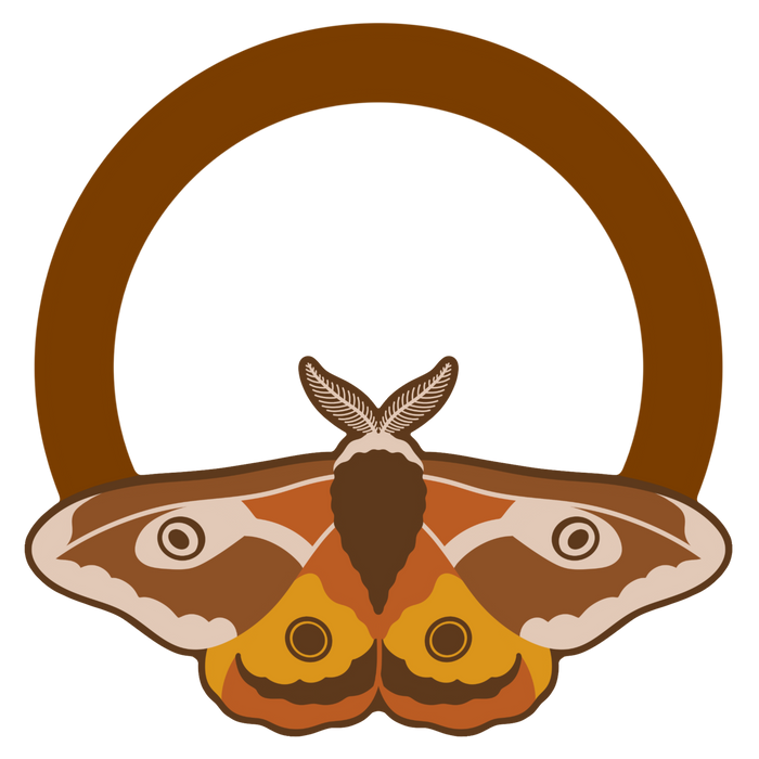 11 Emperor Moth