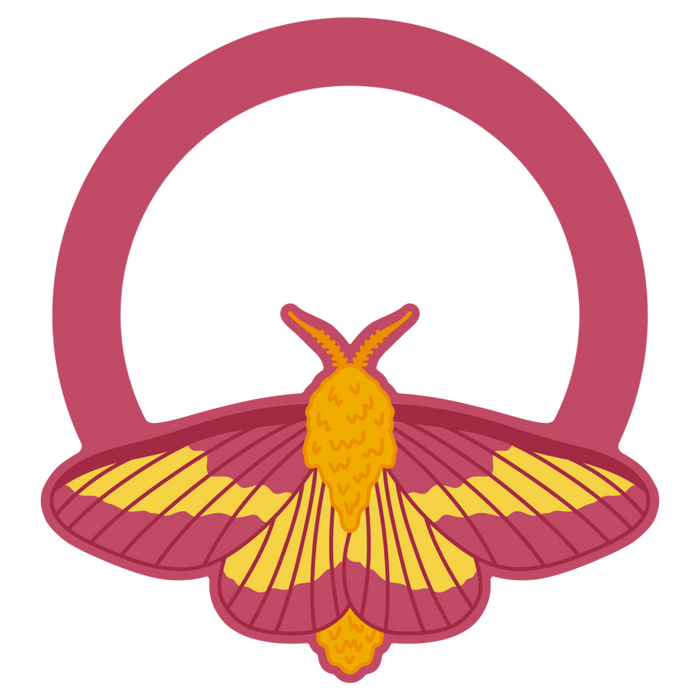 13 Rosy Maple Moth