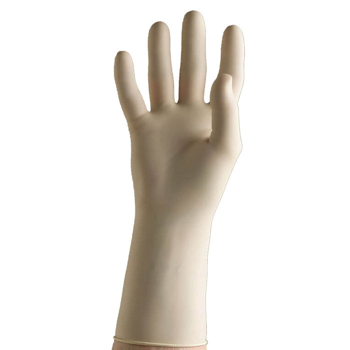 Prestige Chloroprene Surgical Gloves, Powder-Free, Size 7, Case
