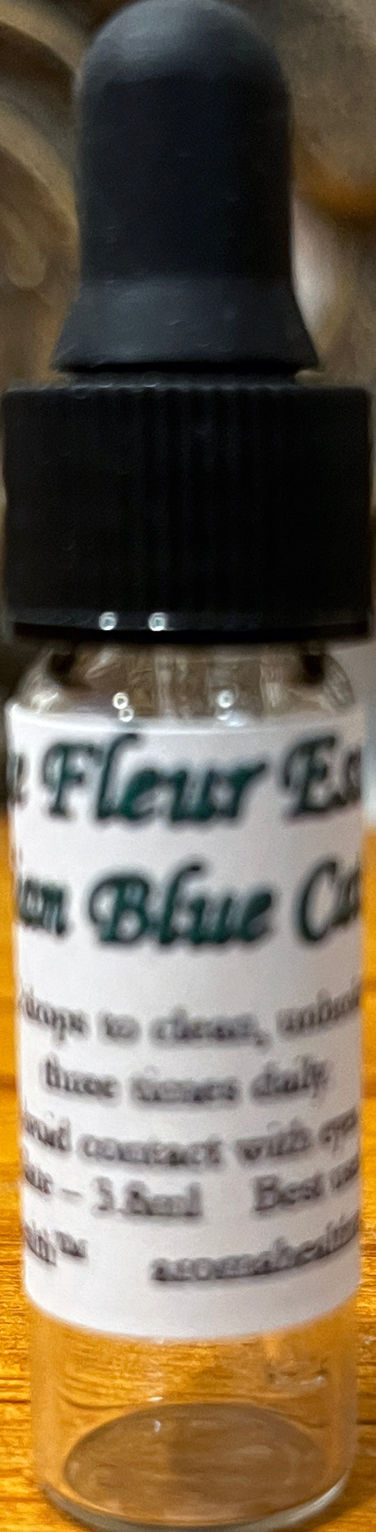 Purrsian Blue Catmint (Nepeta faassenii)