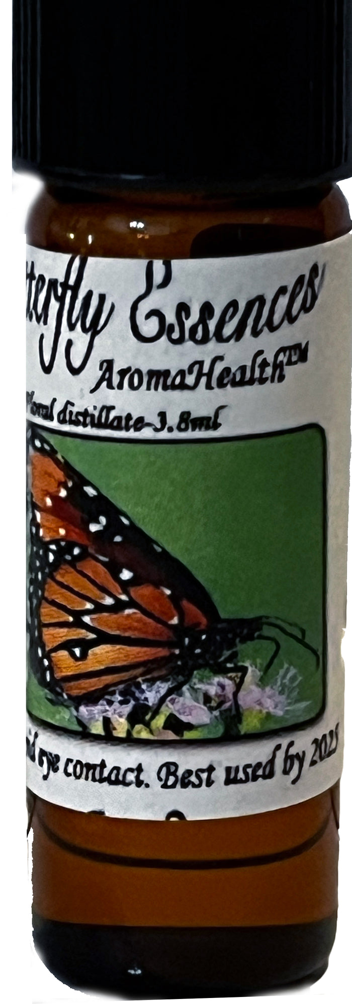 Queen (Danaus gillippus)