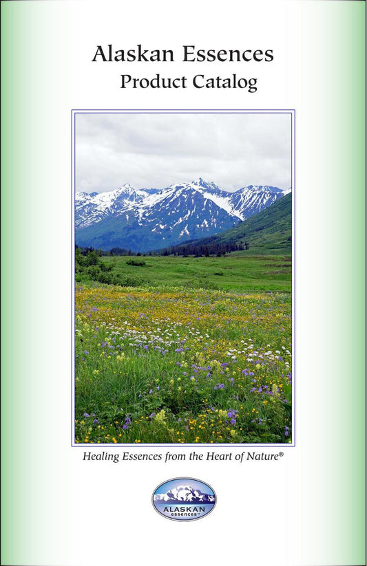 Reference Guide - Printed ($8)