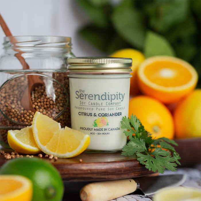 Serendipity Soy Wax Candle - Citrus and Coriander