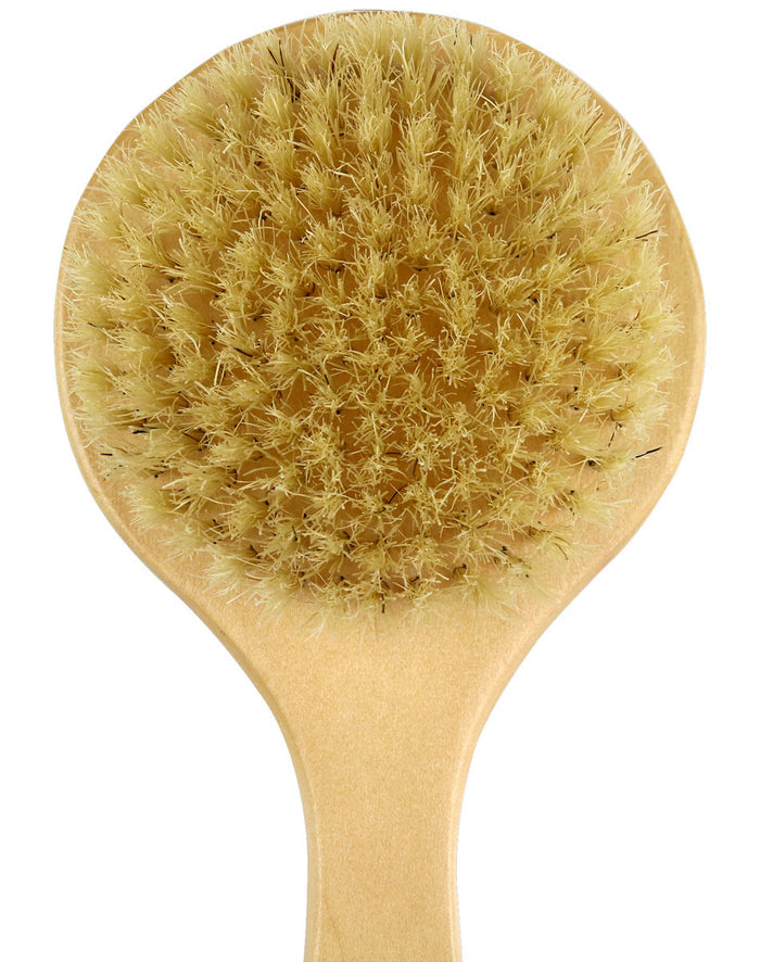 Soft Bristle Body Brush