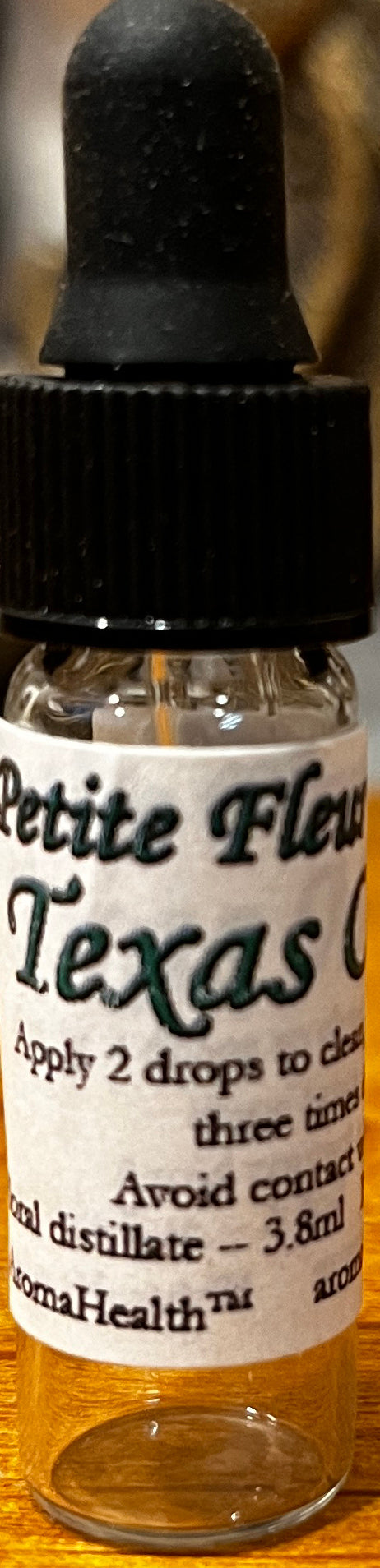 Texas Oxeye Wildflower (Wedelia texana acapulcensis)