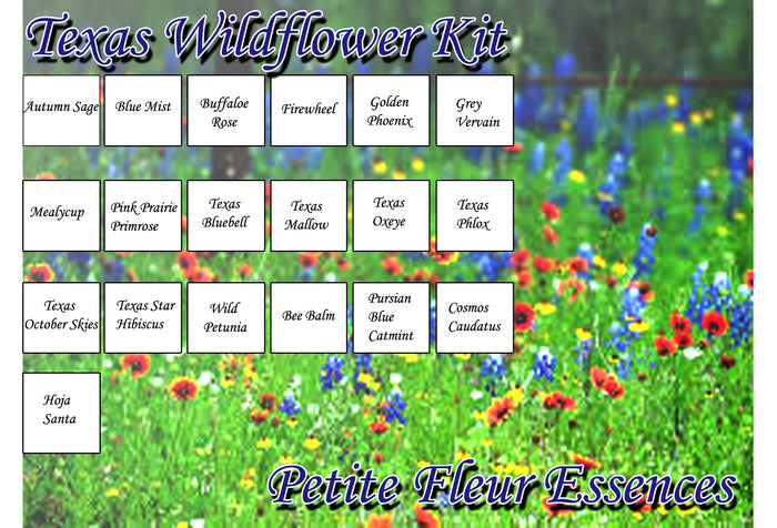 Texas Wildflower Essence Kit