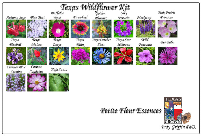 Texas Wildflower Essence Kit