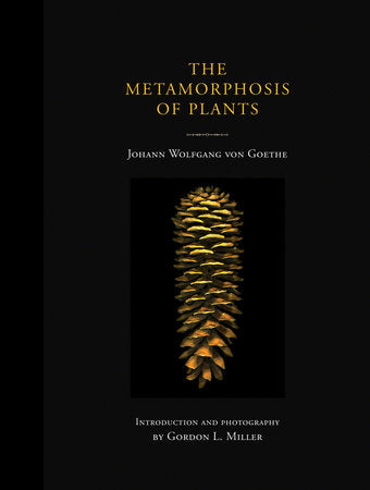 The Metamorphosis Of Plants