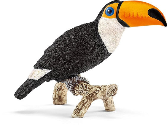 Toucan