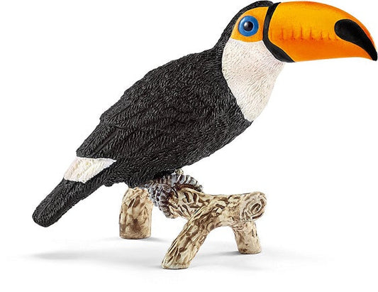 Toucan