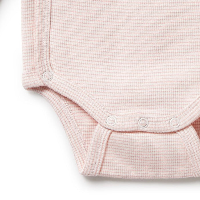 Wilson & Frenchy Organic Stripe Rib Wrap Bodysuit - Cantaloupe