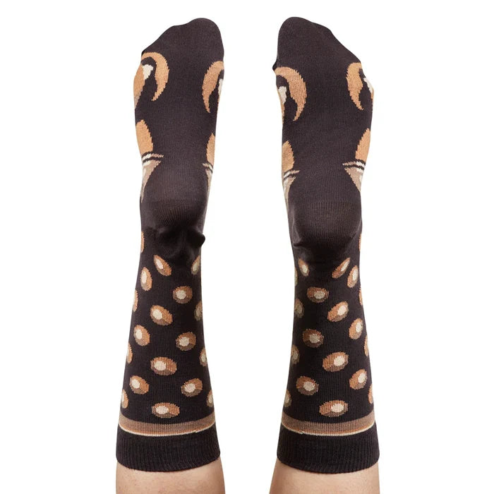 Wilson Payne Down Under Socks - Caramello Bear