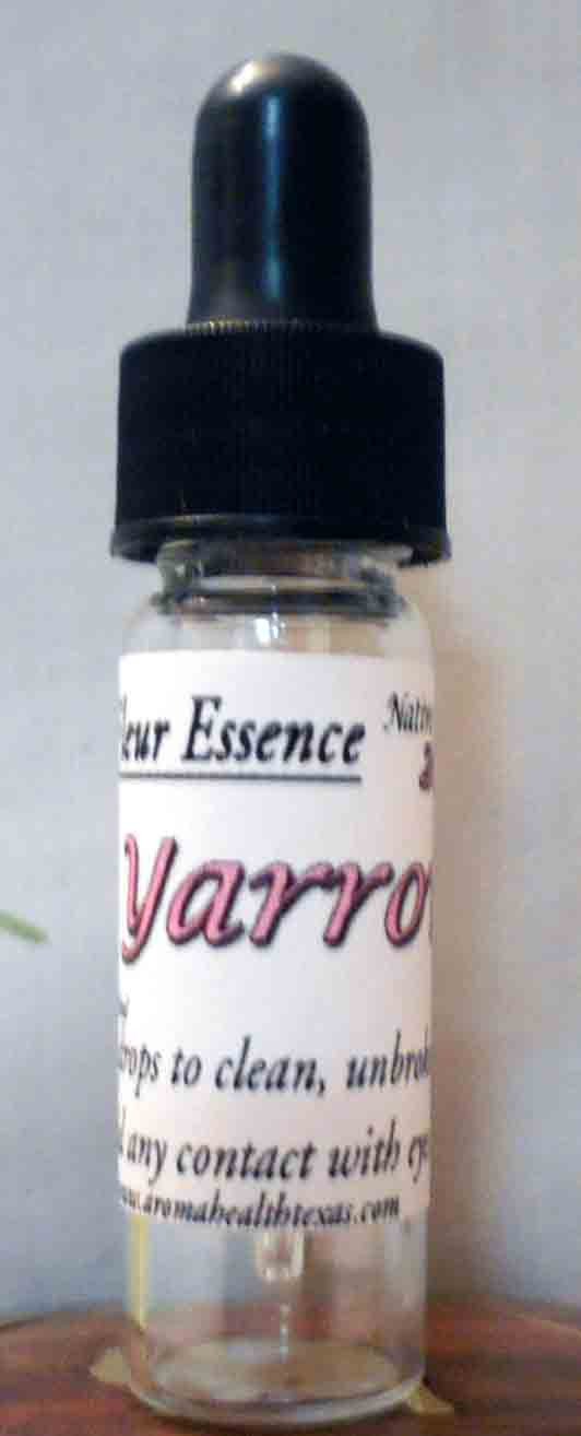 Yarrow, Achilles millifolium, Flower Essence